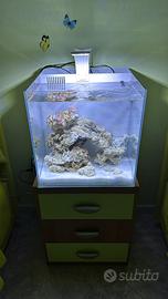 Acquario marino