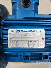 motore  elettrico 