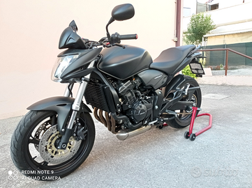Honda Hornet