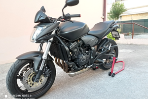 Honda Hornet