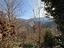 Immagine 9