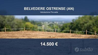 Immobile in asta di 894 m² a Belvedere Ostrense