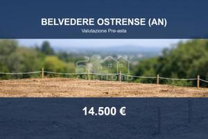 Immobile in asta di 894 m² a Belvedere Ostrense