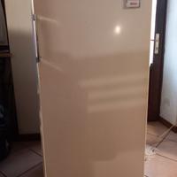 Frigo Rex 