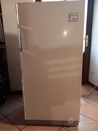 Frigo Rex 