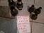 Immagine 6