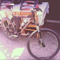 Carraro race