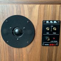 ESB 25-LD speakers