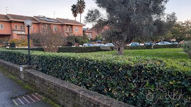 Appartamento zona Fiera di Roma Aeroporto