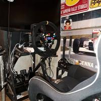 smembro simulatore fanatec 