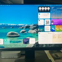 Monitor fotografico “BenQ SW240”