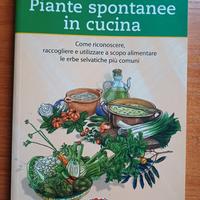 Piante spontanee in cucina