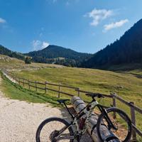 Canyon Neuron CF8 taglia M carbon Pike Select DT S