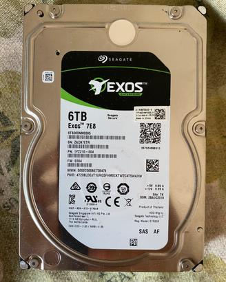 Seagate Exos 6tb SAS