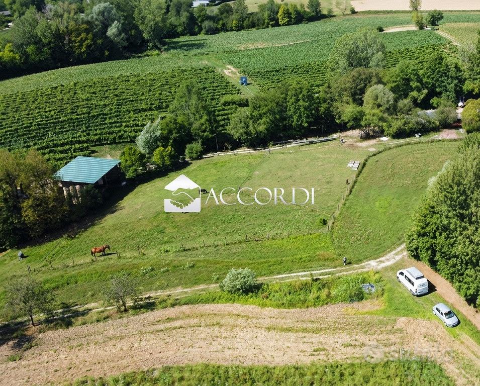 Rif.SW186- terreno agricolo asolo - Vista 3