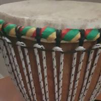 bongo medio  originale mai usato