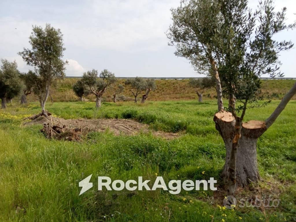 Terreno di 3600 m² a Siderno - Altro