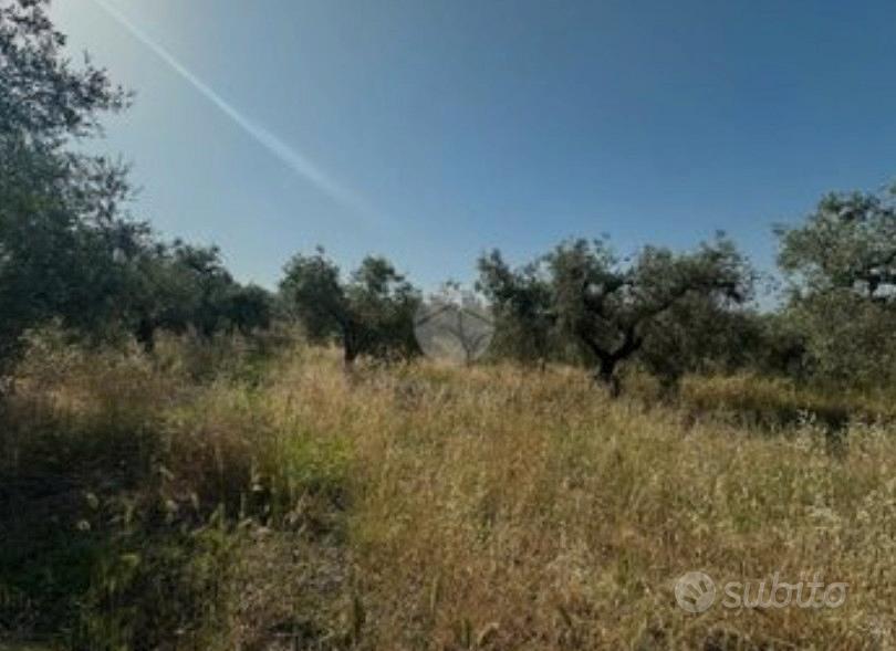 Terreno agricolo - Vista 2