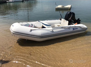 Tender 320 con Mercury 9,9