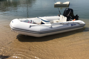 Tender 320 con Mercury 9,9
