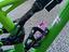 Immagine 5