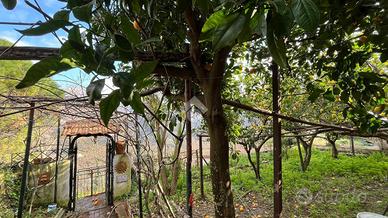 CASA INDIPENDENTE A VIETRI SUL MARE