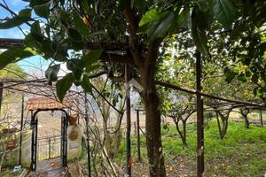 CASA INDIPENDENTE A VIETRI SUL MARE