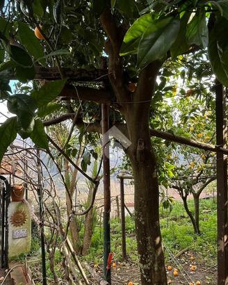 CASA INDIPENDENTE A VIETRI SUL MARE