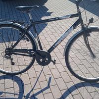 bici da uomo treking 