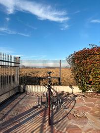 Bicicletta da corsa uomo