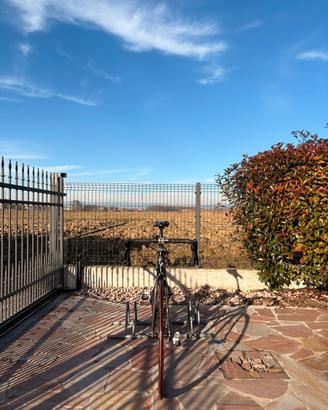 Bicicletta da corsa uomo