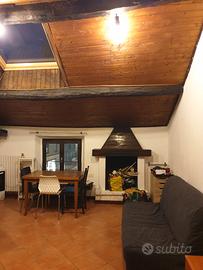 Monolocale con caminetto