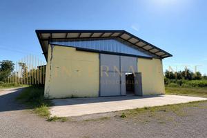 Immobile di 3900 m² a Piove di Sacco