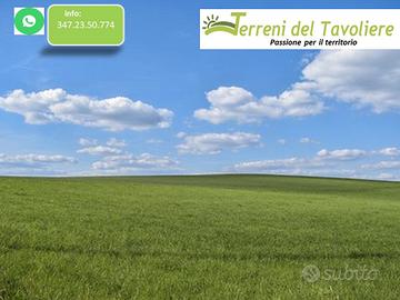 Terreno Seminativo 12.000 mq San Severo