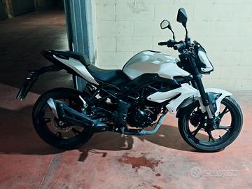 Benelli BN 125 (2024) Praticamente Nuova 3200km