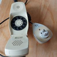 Telefono Grillo Siemens