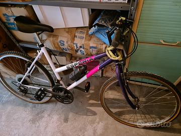bicicletta da ragazzino/a