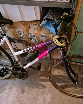 bicicletta da ragazzino/a