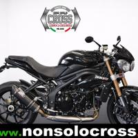 TRIUMPH Speed Triple 1050 - ANNO