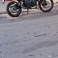 terminale roads transalp 750