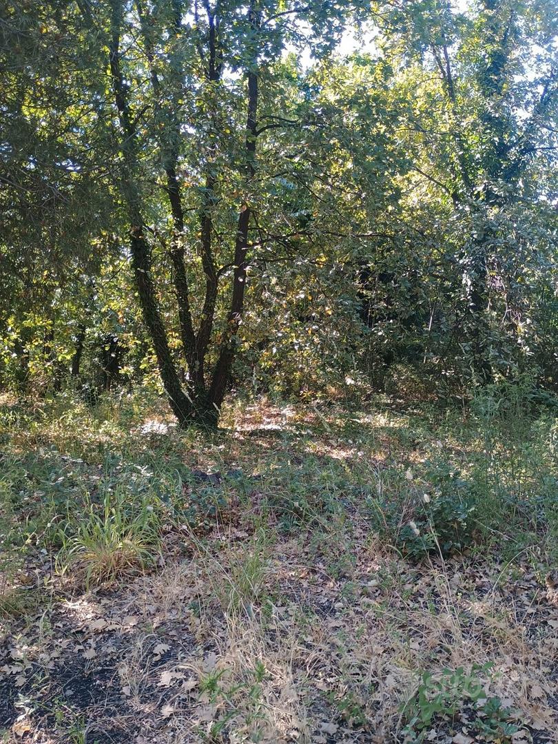 S.Venerina terreno con casa singola - Vista 5