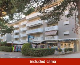 Michelangelo Sabbiadoro bilo 5 pax 250 m dal mare