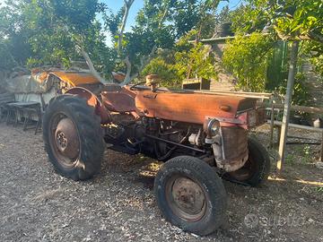 Trattore massey ferguson 135 frutteto