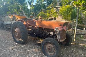 Trattore massey ferguson 135 frutteto