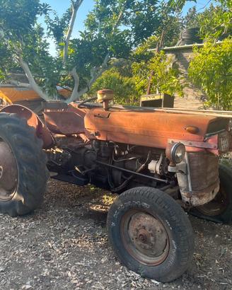 Trattore massey ferguson 135 frutteto