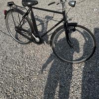 Bicicletta da uomo lery