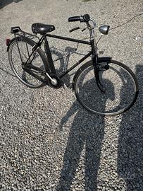 Bicicletta da uomo lery