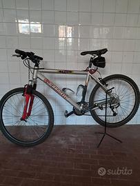 mountan bike carnielli