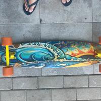 Skaleboard Palisades