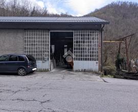 CAPANNONE A CICAGNA